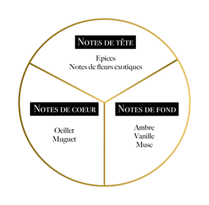 Pyramide olfactive du parfum 1000 Excuses de Martil avec épices, oeillet, muguet, ambre, vanille, musc