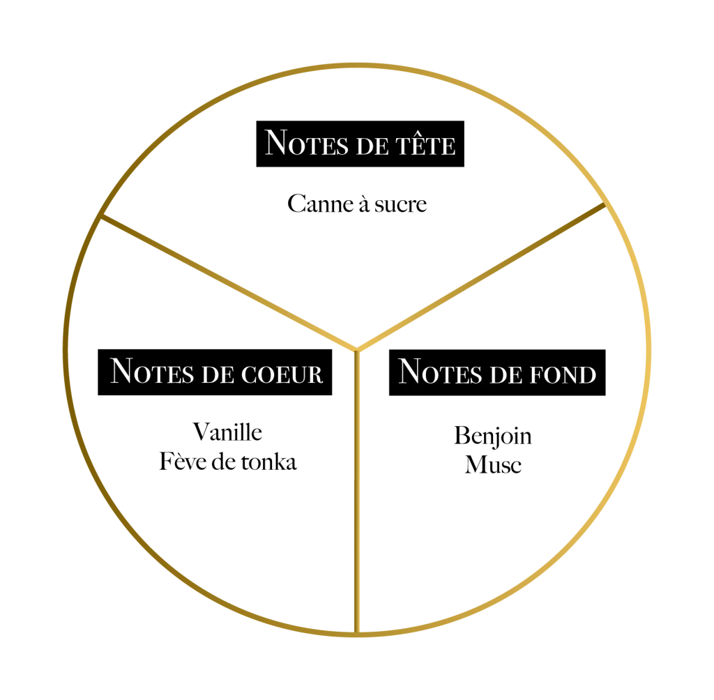 Pyramide olfactive du parfum Révélation de Martil avec canne à sucre, vanille, fève tonka, benjoin et musc